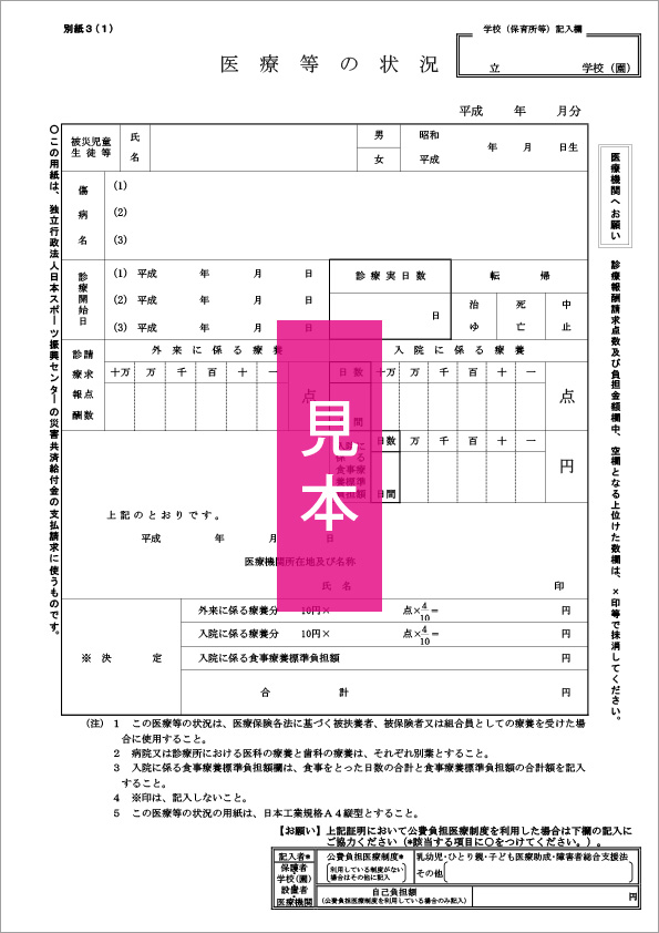 医療等の状況(見本)